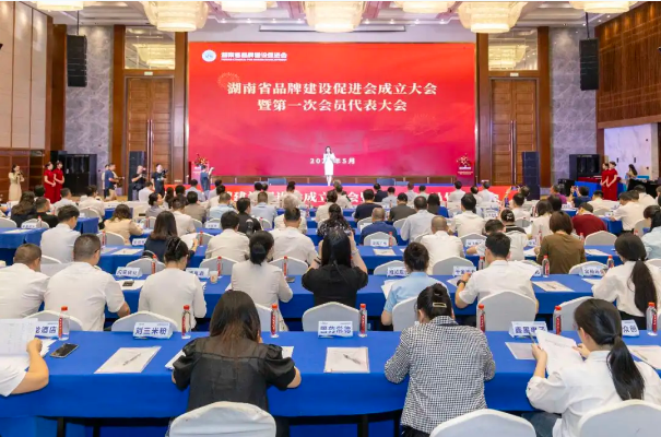 湖南省品牌建设促进会成立 铸就“湘品湘造